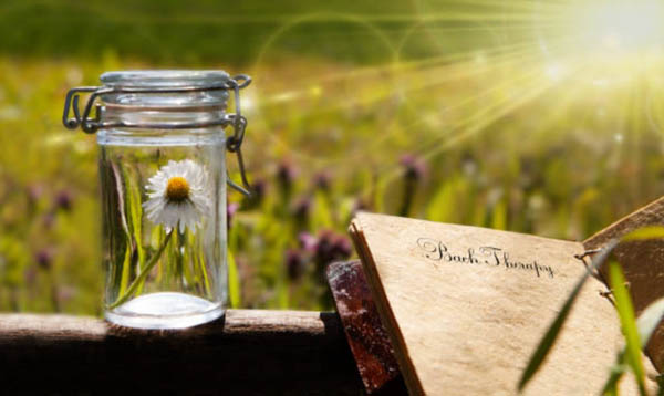 Backbloesemtherapie voor honden