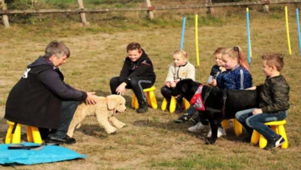 kind en hond les