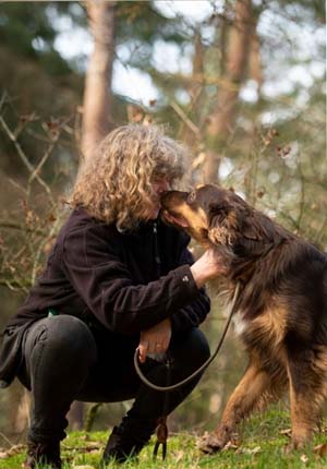 Diana Veldhuis, Safezone Dogs